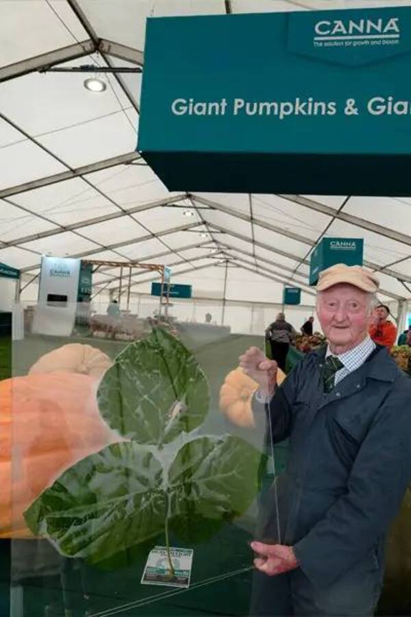 Фермер вырастил самый большой в мире лук: фото овоща-гиганта